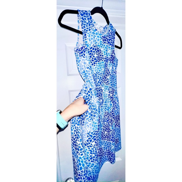 🆕 Jude Connally Sleeveless Mary Pat Dress in Mums the Word Periwinkle / Size XS - Picture 10 of 10